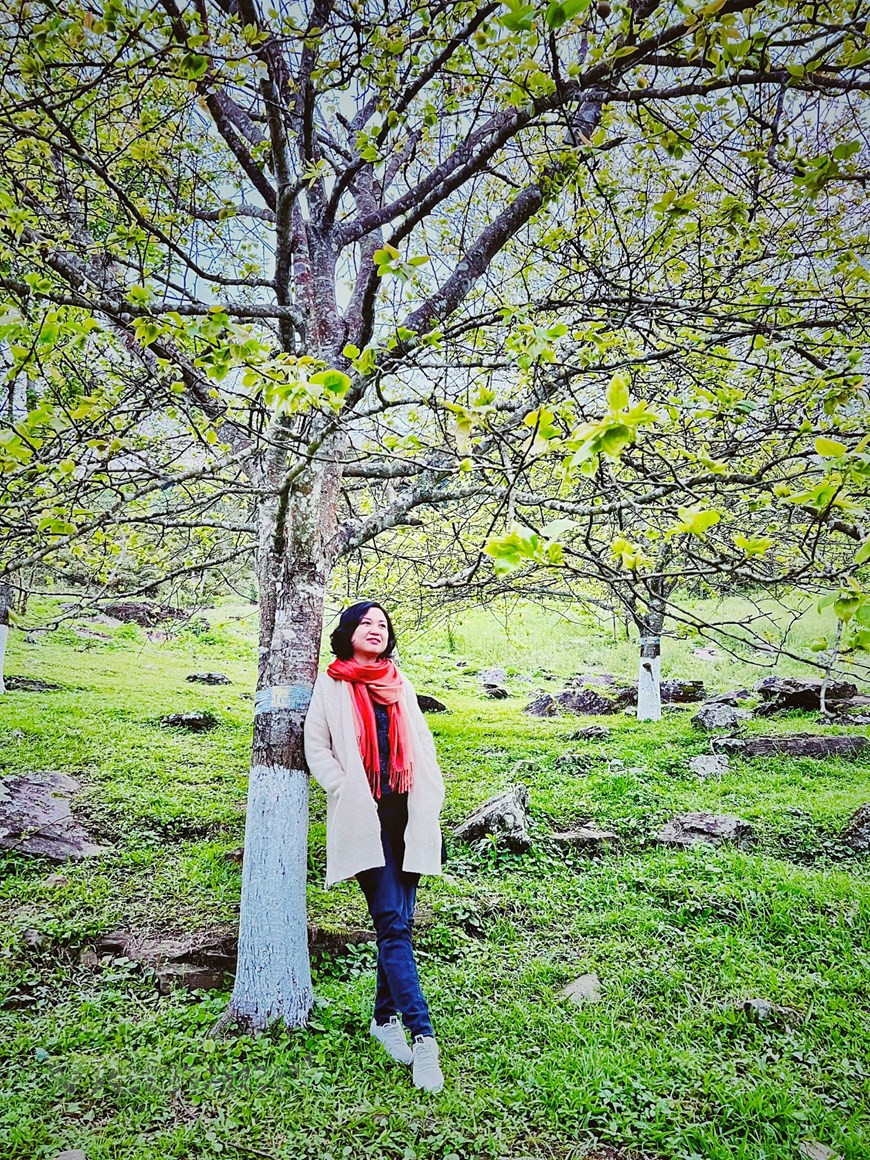 Провинция Туенкуанг в настоящее время инвестирует средства в строительство двух скоростных автомагистралей, соединяющих с скоростными автомагистралями Ханой-Лаокай и Туенкуанг-Хажанг. После завершения этот маршрут сократит 2/3 времени пути от Ханоя до Туйенкуанг, Хажанг. С целью повысить уровень жизни и создать стабильный источник доходов жителям народностей, населяющих уезд Наханг, начиная с 2000 года, осуществляя правительственную программу озеленения пустых холмов и полей с целью экономического развития, в горных селениях общины Шиньлонг уезда Наханг было выращено 800 гектаров чая породы Шантует. В 2001 году площадь, отведенная под чай, была расширена до 1000 гектаров. После 10 лет осуществления программы, в настоящее время чай породы Шантует не только зеленеет по всем холмам и пустым полям, становится надежным щитом для предотвращения наводнения, но и считается технической культурой с высокой экономической ценностью. (Фото: Май Май/ Vietnam+)