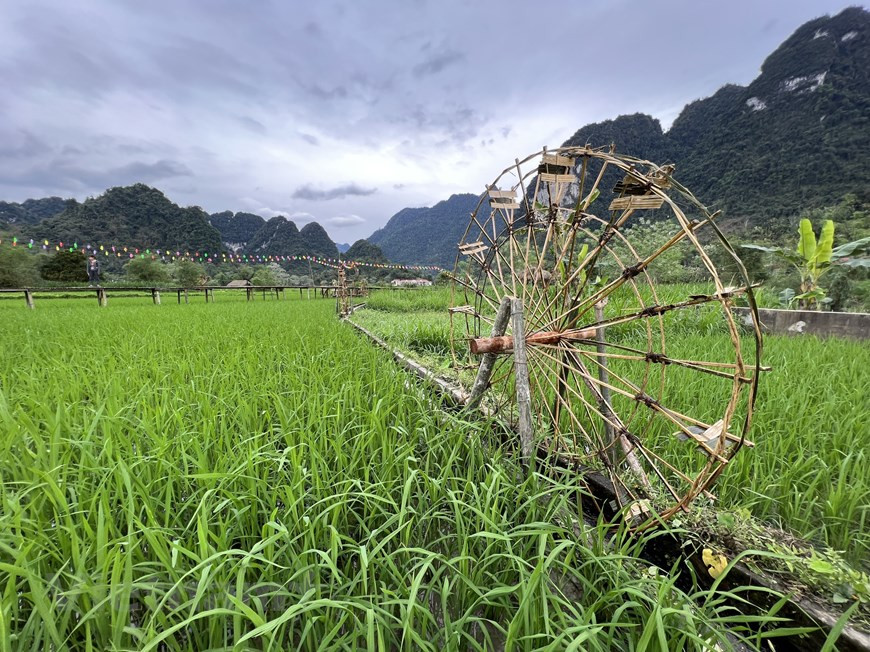 Туенкуанг (Tuyen Quang) - город в северной части Вьетнама, является центром одноименной провинции. Туенкуанг удален от Ханоя на 150 км к северо-западу. Численность населения составляет более 110 200 жителей. Интересно, что на территории провинции проживает значительная часть тайского народа. Дело в том, что с средние века территория провинции была заселена тайцами, и только с 13 века эти земли постепенно начали заселяться другими народами. Только к 17 веку династия Ле закрепила территории провинции за этнических вьетнамскими чиновниками. Во время колониального строя постоянно происходили восстания, которые были полность подавлены французами только к 1894 году. В ходе первой индокитайской войны, армия Вьетминь, под руководством Хо Ши Мина, захватила город. Представители многих туристических агентств оценили туризм Туенкуанг как очень потенциальный но не развитый... (Фото: Mai Mai/Vietnam+)