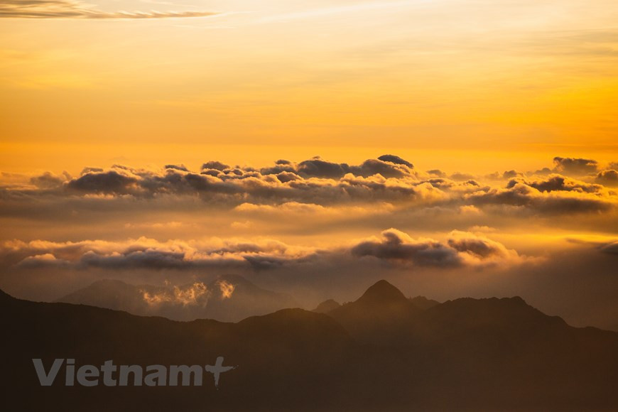 (Фото: Вьетнам+)