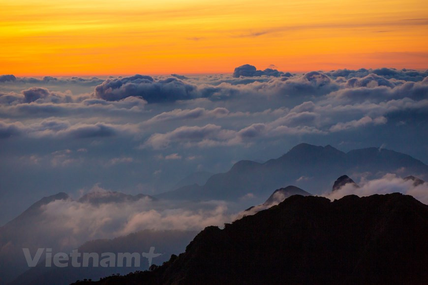 (Фото: Вьетнам+)