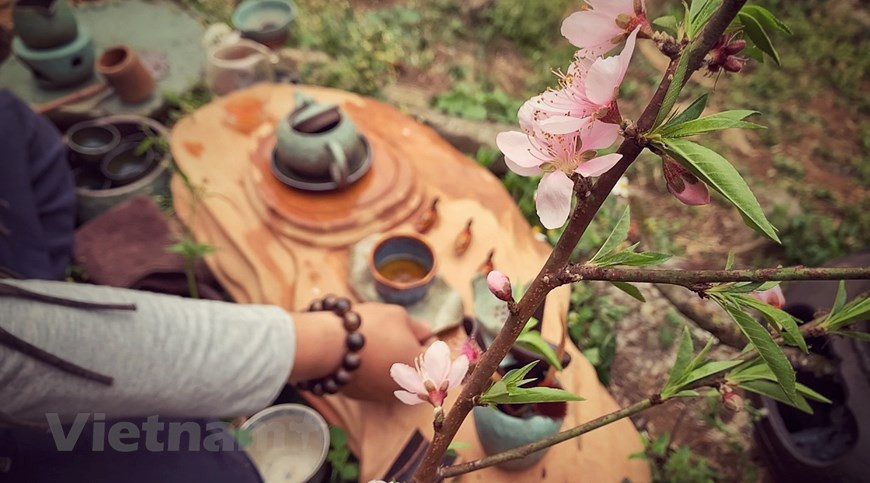 (Фото: Vietnam+)