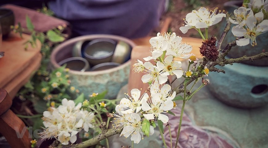 (Фото: Vietnam+)