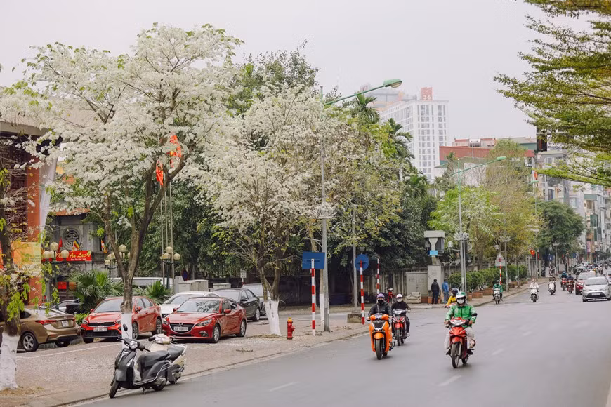 (Фото: Vietnam +)