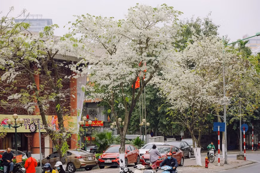 (Фото: Vietnam +)
