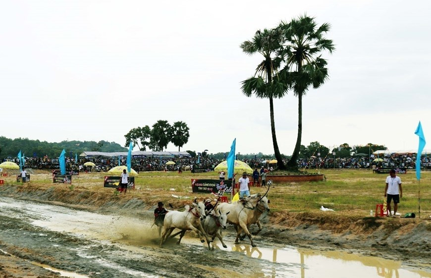 Провинциальный бюджет финансирует проект на 2,9 млрд. донгов, а районы Тиньбьен и Тритон выделяют почти 1,2 млрд. донгов (Фото: ВИА)