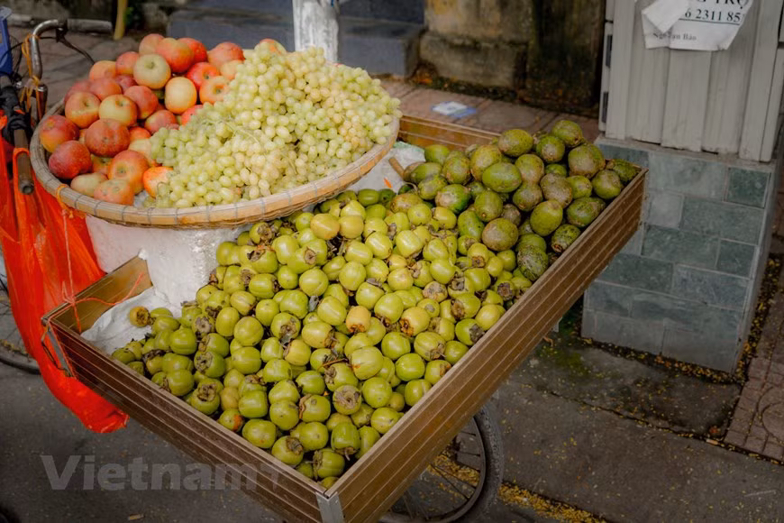 (Фото: Vietnam+)