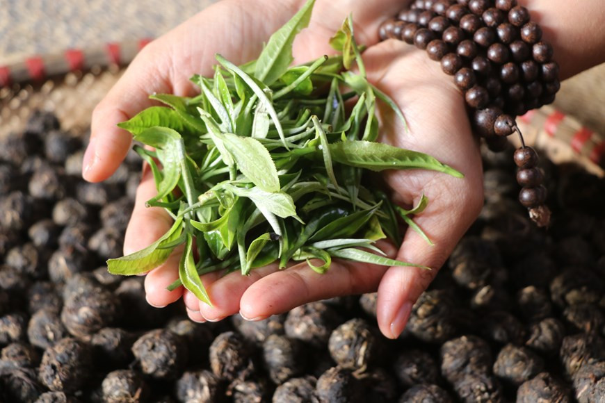 (Фото: Vietnam+)