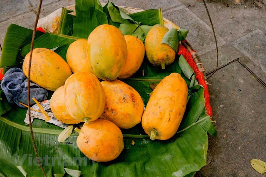(Фото: Vietnam+)