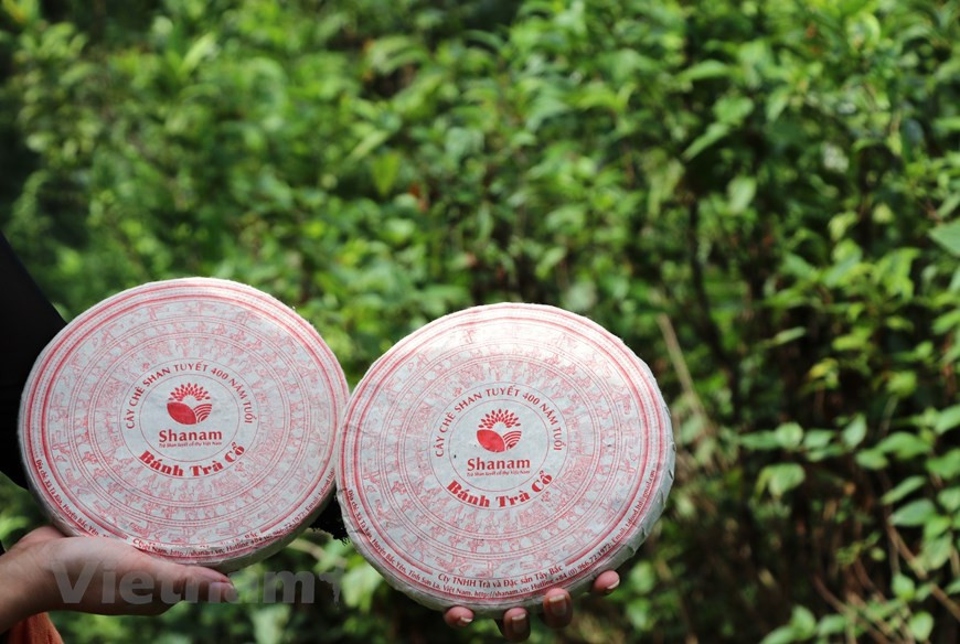 (Фото: Vietnam+)