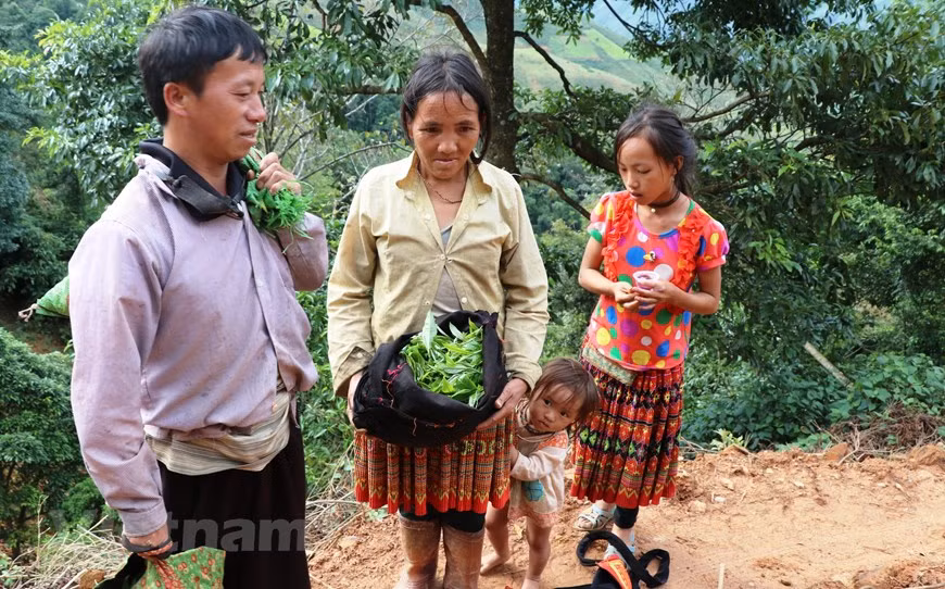 (Фото: Vietnam+)