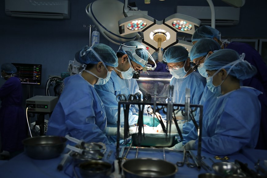 (Фото: Vietnam+)