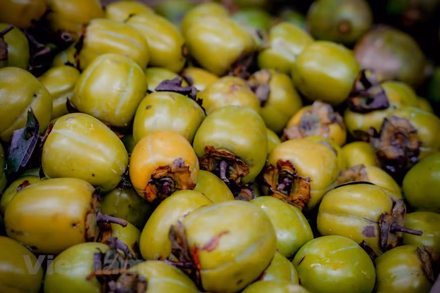 (Фото: Vietnam+)