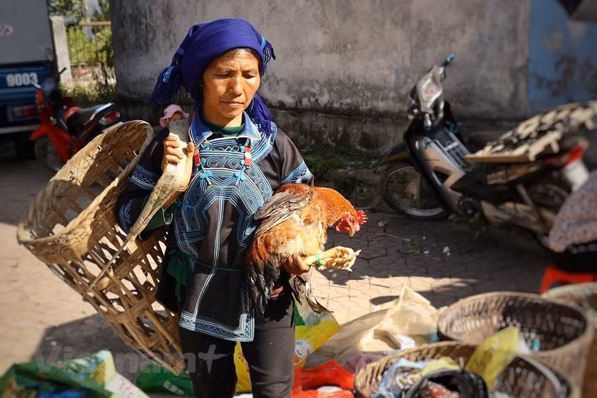 (Фото: Vietnam+)