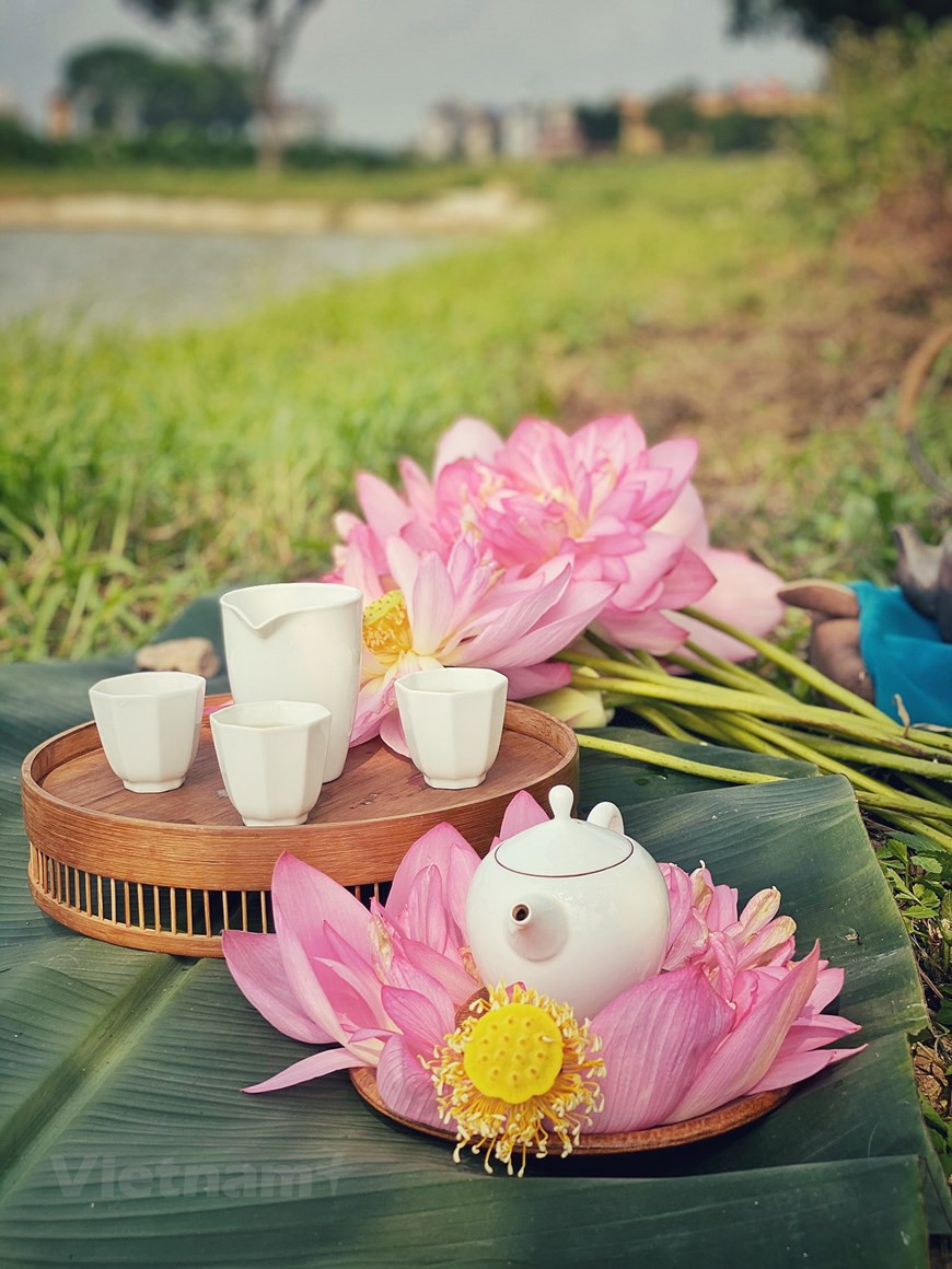 Чашка высококачественного зеленого чая в сочетании с сочным ароматом лотоса дает нам свежий, сладкий, ванильный аромат с ароматом цветка лотоса, который остается во рту. Лотос, национальный цветок Вьетнама, можно найти во многих частях страны, но считается, что цветы на Западном озере Ханоя - лучшие сорта с более стойким ароматом. С годами мастера Ханоя овладели искусством придавать зеленому чаю аромат тычинок лотоса. Этот кропотливый и трудоемкий процесс требует 1.500 цветков лотоса, чтобы приготовить 1 кг чая лотоса. Партия чая с лотосом обычно готова через 20 дней. Лотосовый чай – это гармоничное сочетание утончённого вкуса и изысканного аромата. Во время чаепития исчезают все повседневные заботы, и человек обретает душевное спокойствие. (Фото: Вьетнам+)