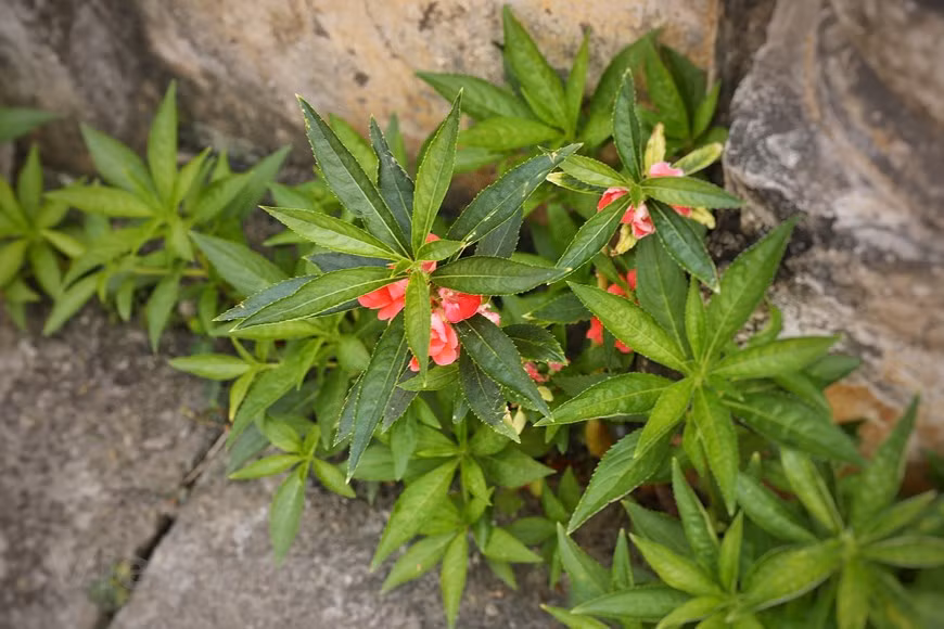 (Фото: Vietnam+)