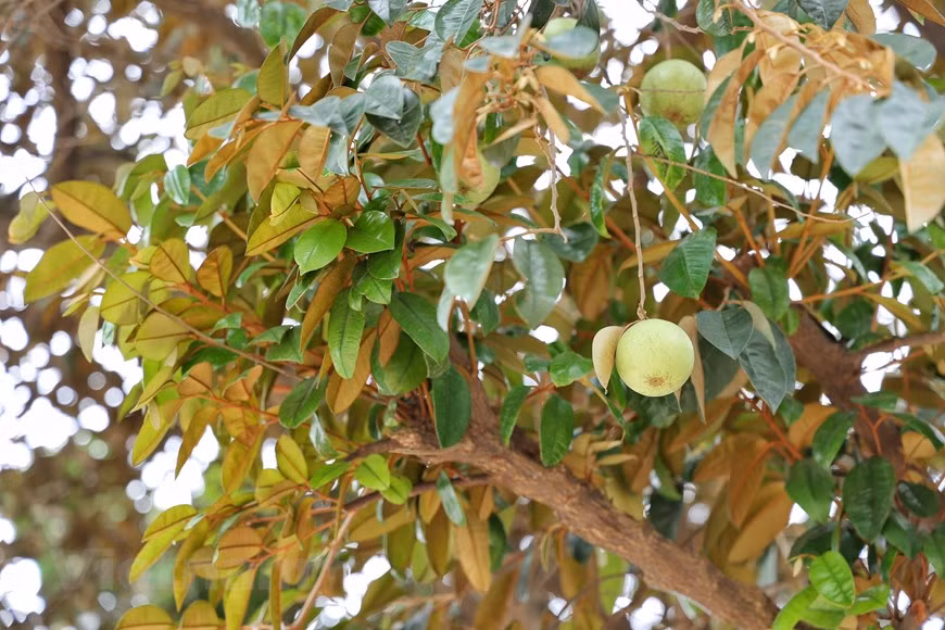  (Фото: Vietnam+)