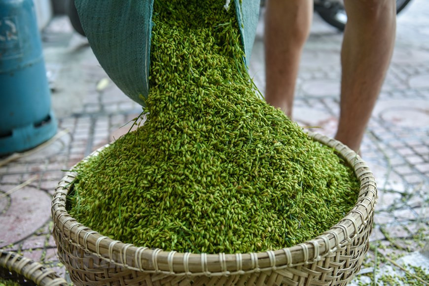 Ремесло по приготовлению «Ком» в деревне Мечи имеет более чем столетнюю историю. Оно также было включено в Список 17 национальных объектов нематериального культурного наследия по решению Министерства культуры, спорта и туризма в 2019 году. Ком Мечи – это ханойский деликатес. Имеющие давние традиции местные жители по-прежнему хранят секрет приготовления кома, которого нигде больше нет. Тому, кто однажды попробовал ханойский сой-ком, будет трудно забыть его своеобразный вкус. В нем есть что-то от сой-во (клейкий рис, приготовленный на пару с половинками зерен золотистой фасоли), что-то от сой-зыа (клейкий рис с кокосом), что-то маслянистое от горохового кекса, что-то сладковатое от сахара. Однако дольше и лучше всего запоминается аромат ханойского ком. (Фото: Vietnam+)