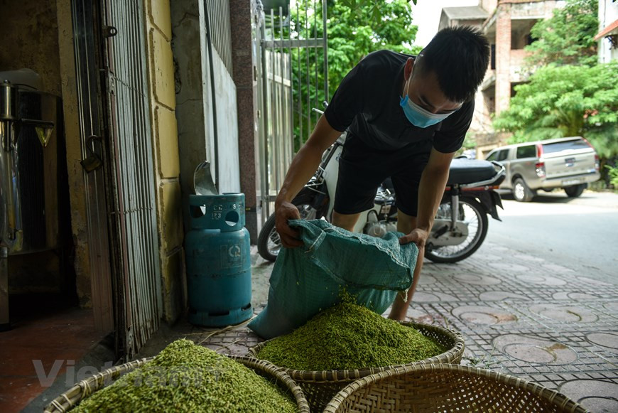 В одном году производят «ком» два раза, весной и осенью, в том числе главным считается осений - с седьмого лунного месяца до конца сентября Молодой клейкий рис сначала слегка обжаривают, потом удаляют шелуху, в результате получаются чистые круглые зеленые зерна. Молодые зерна ком нужно варить на пару. Это блюдо называется сой-ком, которое отличается клейкостью. Разбухая, полные прозрачно-зеленые зерна все еще сохраняют свой мягкий, едва уловимый аромат свежего риса. Сой-ком обычно покрывают желтым сыпучим и ароматным слоем крахмала из бобов нунг (Vigna radiata – золотистая фасоль). А на самом верху присыпают тонкие молочно-белые, лоснящиеся от жира кокосовые ниточки. Сой-ком стал распространенным деликатесом ханойцев. (Фото: Vietnam+)