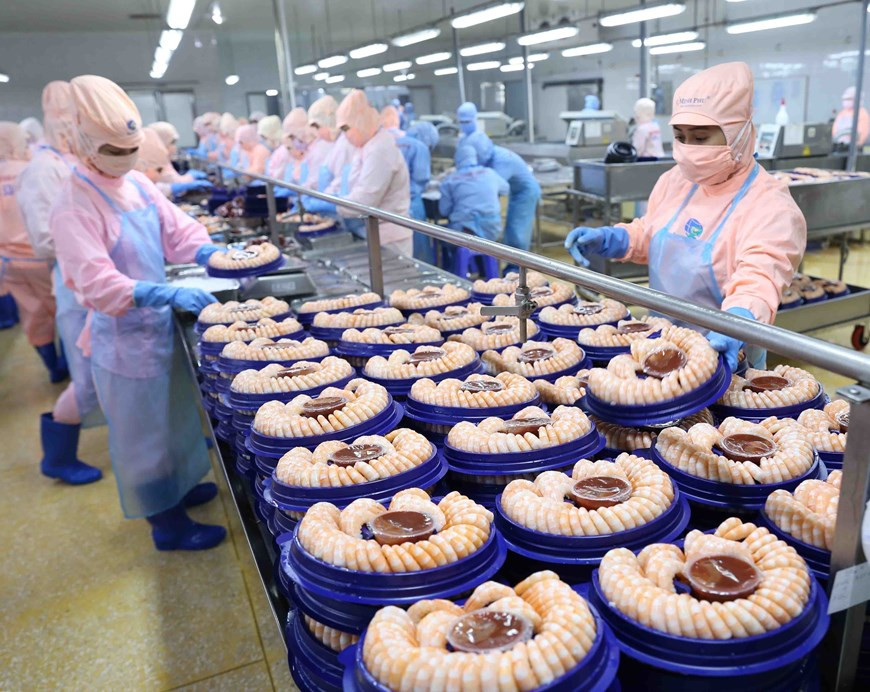 На сегодняшний день вьетнамские морепродукты экспортируются в 170 стран и территорий. На фото: Переработка креветок для экспорта на рынки США и Японии компании Minh Phu Seafood Corporation (Minh Phu Seafood Corp). (Фото: ВИА)