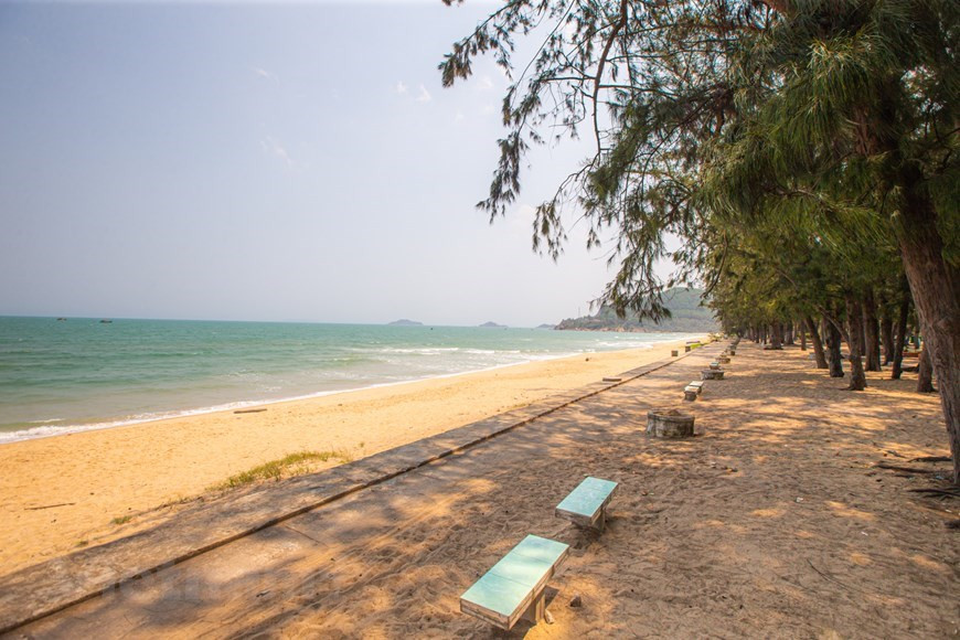 Туристический объект Куихоа находится в 5 км от центра города Куиньон. Когда вам наскучит играть в чистой голубой воде, вы можете пройти босиком по пляжу среди кокосовых пальм и спеть несколько песен о любви к морю. Можно полюбоваться красивыми пейзажами пляжа и его переливающимся на солнце песком, который напоминает сверкающие драгоценные камни в открытом охотником за сокровищами сундуке. Никого не оставит равнодушным картина: солнце ярко светит, чистое синее море похоже на серебро, а песчинки сияют словно маленькие бриллианты. Здесь вас поразят величественная дикая красота и гармоничная природа. Вы увидите вдалеке величественные горы, тенистые зеленые поля, почувствуете свежий воздух и сильные ветры, которые приносят сюда морскую соль. (Фото: Vietnam +)