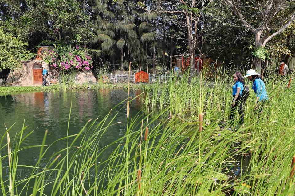 Прелесть Таньоли в том, природа здесь практически сохранена в первозданном виде, с минимальным воздействием человеческих рук. (Фото: ИЖВ)