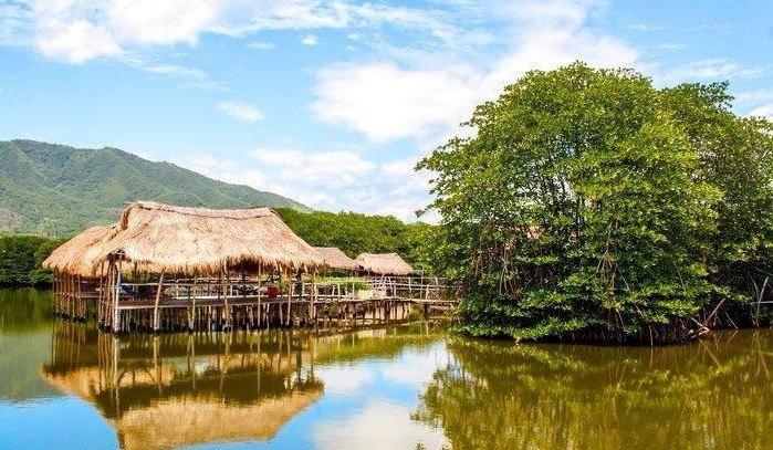 Познакомьтесь с мангровым экотуризмом в заливе Нячанг. (Фото: ВИА)