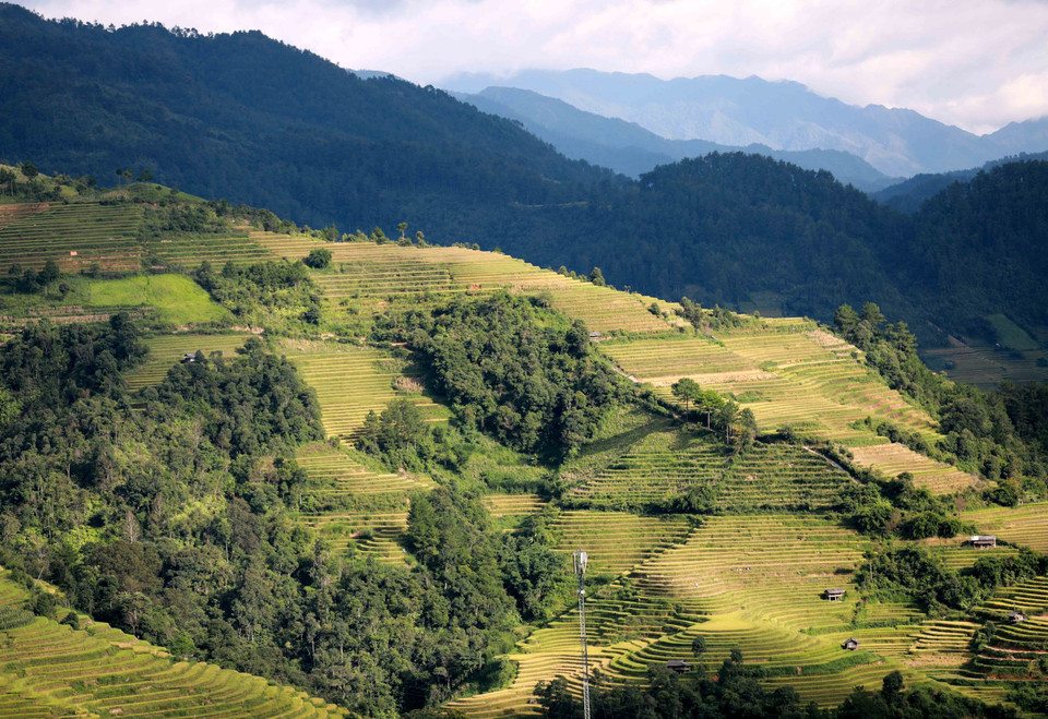 Посетители могут увидеть бескрайние, поэтически красивые террасные поля. (Фото: ВИА)