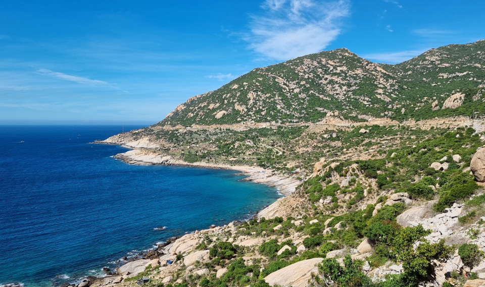 Прибрежный защитный лес Тхуаннам в Ниньтхуане создает щит, позволяющий уменьшить последствия стихийных бедствий и справиться с изменением климата. (Фото: ВИА)