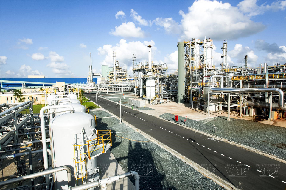 Уголок белковой фабрики Камау. (Фото: ИЖВ)