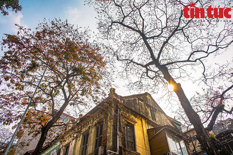 Пейзаж так поэтичен, на фоне которого городская суета, кажется, замедляется... (Фото: Báo tin tức)