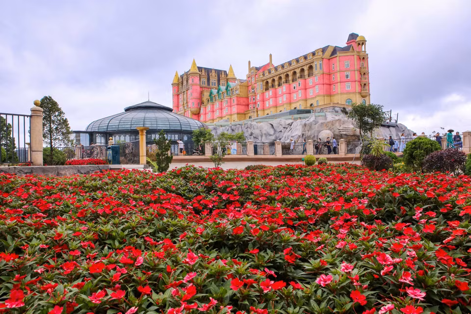 Туристическая зона Sun World Ba Na Hills погружается в природу с ярко-красными цветочными коврами. (Фото: ВИА)