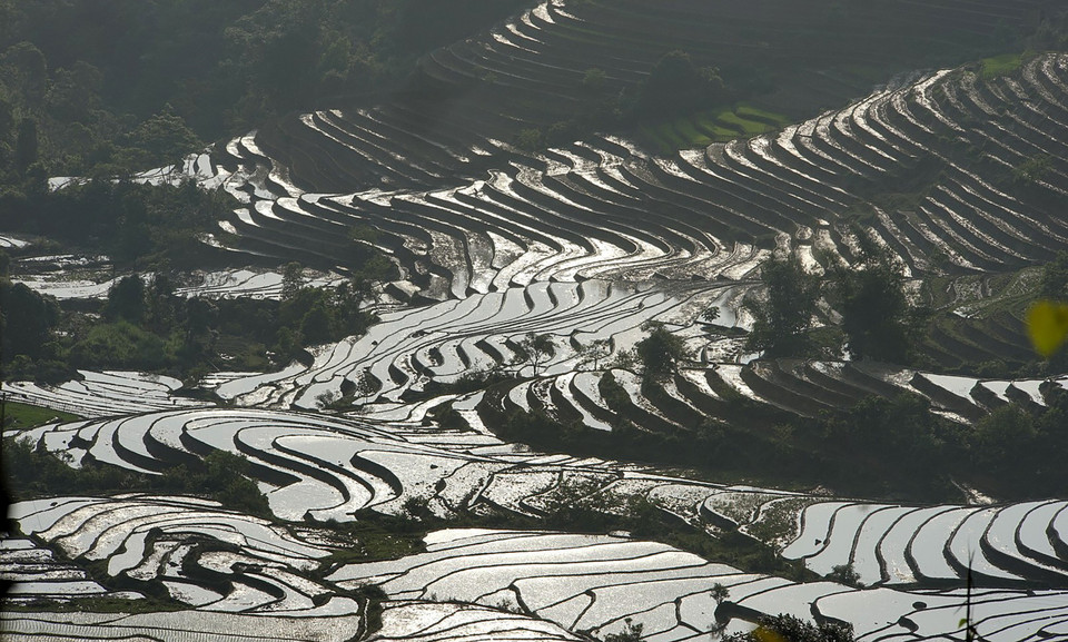 Чтобы застать такой «захватывающий» момент, посетители должны приезжать с конца апреля до середины мая. (Фото: ВИА)