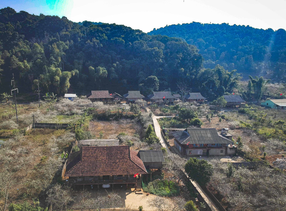 Красота долины Фиенгбан весной. (Фото: ВИА)