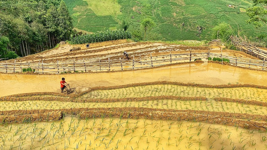 (Фото: Vietnam+)