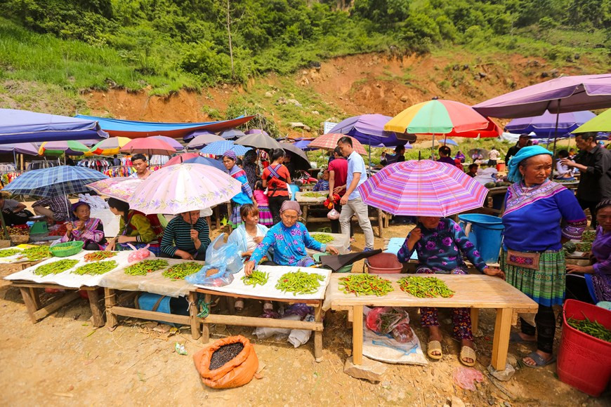 Удивительно наблюдать за жизнью буйволов, когда те принимают грязевую ванну. Жители дома очень любят животных и всегда заботятся о хороших породах крупного рогатого скота. На дороге очень легко узнать покупателей и продавцов, которые активно общаются друг с другом. Атмосфера поистине яркая и шумная. Пройдя в продовольственную часть рынка, вы ощутите живую смесь разных звуков: голоса продавцов и покупателей, веселые разговоры посетителей и удивительные звуки сталкивающихся друг с другом чаш. В этой яркой атмосфере действительно большое упущение – это не попробовать тарелку «тхангко», известного традиционного блюда народа хмонг. «Тхангко» - это тушеная конина. Чтобы блюдо получилось более ароматным, в него добавляют пряные травы. (Фото: Vietnam+)