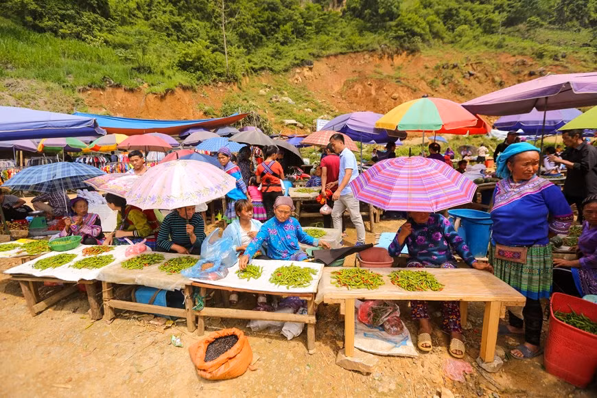 Удивительно наблюдать за жизнью буйволов, когда те принимают грязевую ванну. Жители дома очень любят животных и всегда заботятся о хороших породах крупного рогатого скота. На дороге очень легко узнать покупателей и продавцов, которые активно общаются друг с другом. Атмосфера поистине яркая и шумная. Пройдя в продовольственную часть рынка, вы ощутите живую смесь разных звуков: голоса продавцов и покупателей, веселые разговоры посетителей и удивительные звуки сталкивающихся друг с другом чаш. В этой яркой атмосфере действительно большое упущение – это не попробовать тарелку «тхангко», известного традиционного блюда народа хмонг. «Тхангко» - это тушеная конина. Чтобы блюдо получилось более ароматным, в него добавляют пряные травы. (Фото: Vietnam+)