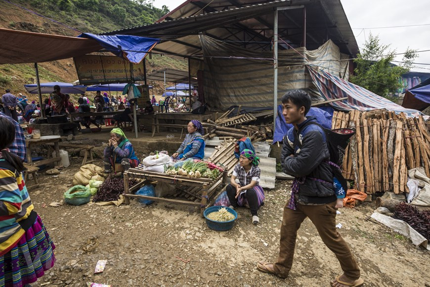 Рынок Канчау также известен как “рынок буйволов” или “торговая площадка буйволов”, самая известная на Северо-Западе. Неважно кем и когда был организован рынок, но на нем могут быть сотни буйволов из разных этнических областей, таких как Бакха, Симакай, Мыонгкхыонг, Хаджианг, Йенбай... По мнению здешних жителей, они придают большое значение буйволам, поэтому они часто приходят на рынок Канчау, чтобы найти сильных и здоровых буйволов, которые могут сыграть важную роль в сельскохозяйственном производстве. Кроме того, местные жители покупают буйволов для разделки на мясо или для разведения... Но есть также много людей, которые ищут буйволов, которые еще слабые и истощенные, чтобы купить их по низкой цене, а в другой раз выставить на продажу по более высокой. (Фото: Vietnam+)