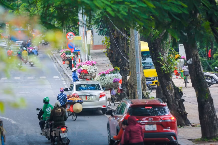 (Фото: Vietnam+)