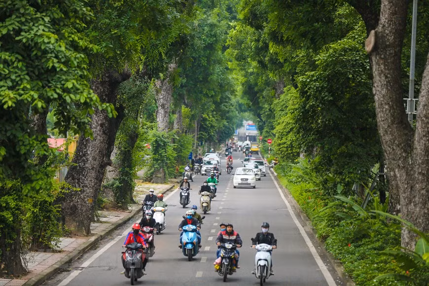 (Фото: Vietnam+)