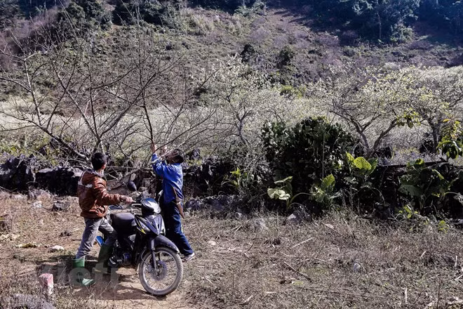 (Фото: Vietnam +)