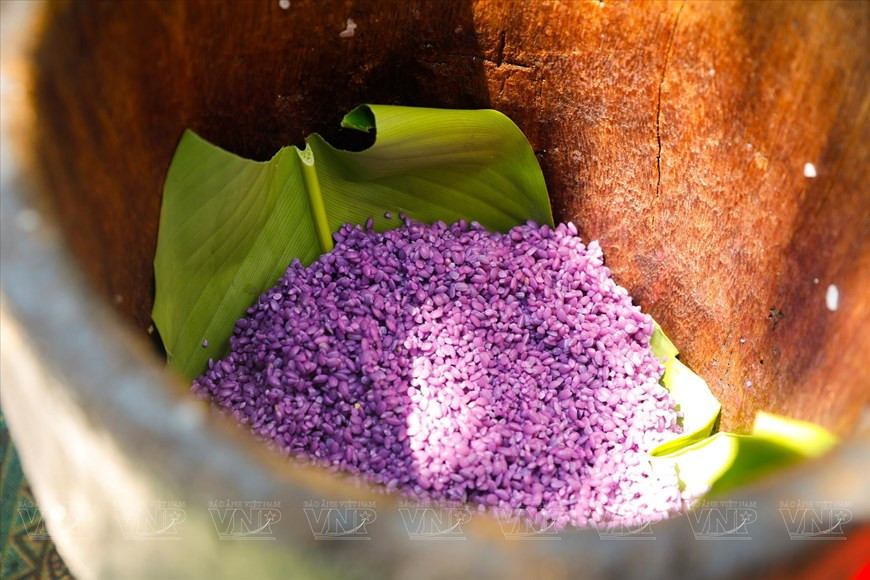 Фиолетовый клейкий рис готов к приготовлению в деревянной пароварке этнической народности тай в Мыонгло. (Фото: VNP/ВИА)