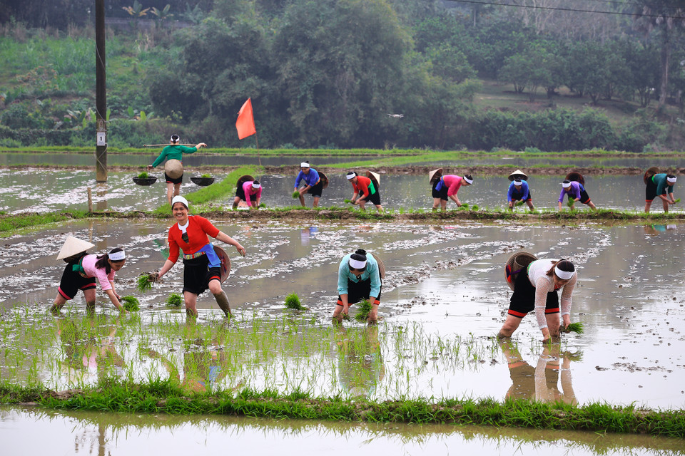 Веселые лица людей народности Мыонг, идущих в полях. (Фото: ВИА)