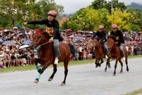 Жокеи состязаются на ипподроме. Фото: ВИА.