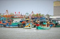 Сотрудники компетентных органов прибывают на каждое рыболовное судно, проводя разъяснительную работу для повышения осведомлённости рыбацкого сообщества о мерах по снятию «жёлтой карточки» ННН-промысла. Источник: ВИА.