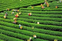 Иллюстративное фото. Фото: ВИА.