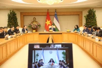 Заместитель Премьер-министра Чан Хонг Ха отметил необходимость конкретизации направлений сотрудничества посредством практических проектов во Вьетнаме и Узбекистане с целью максимального использования потенциала и преимуществ каждой стороны. Фото: VGP.