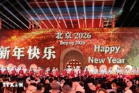 Город Пекин с радостью встречает Новый год. Фото: ВИА.