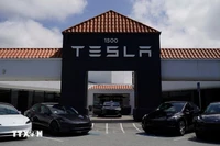 Один из автосалонов Tesla. (Фото: ВИА)