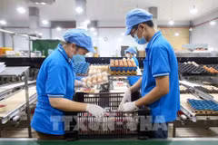 Индекс потребительских цен за 10 месяцев 2025 года увеличился на 3,27%. Фото: ВИА.