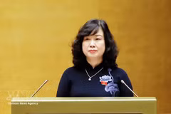 Министр здравоохранения Дао Хонг Лан по поручению Премьер-министра Правительства представляет доклады по трем законопроектам. Фото: ВИА.